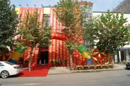 临泉港口路店